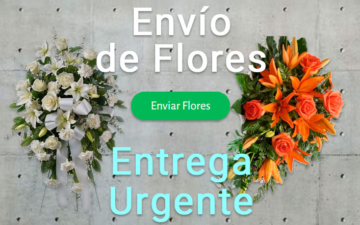 Envío de Centros Funerarios urgente a el Tanatorio Figueres